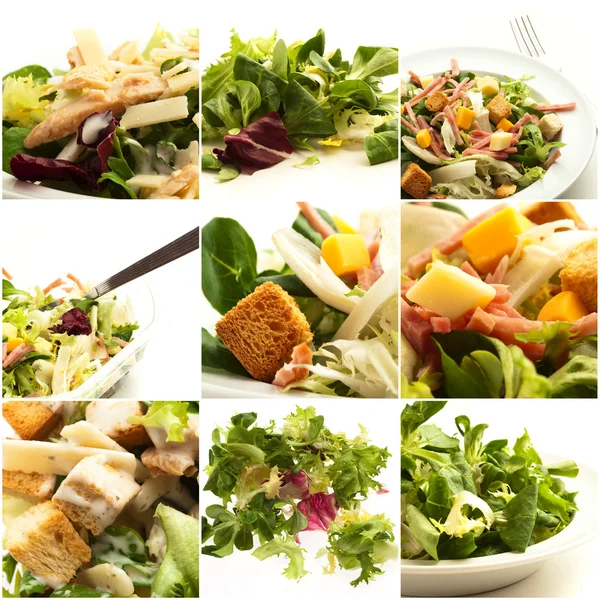 Reihe von Gemüse. Salat — Stockfoto