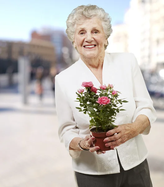 Donna anziana che tiene un vaso di fiori sullo sfondo di una strada — Foto Stock