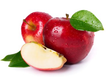 taze elma