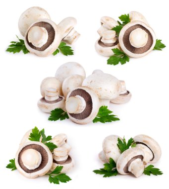 Mushrooms clipart