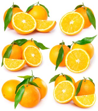 Fresh oranges clipart