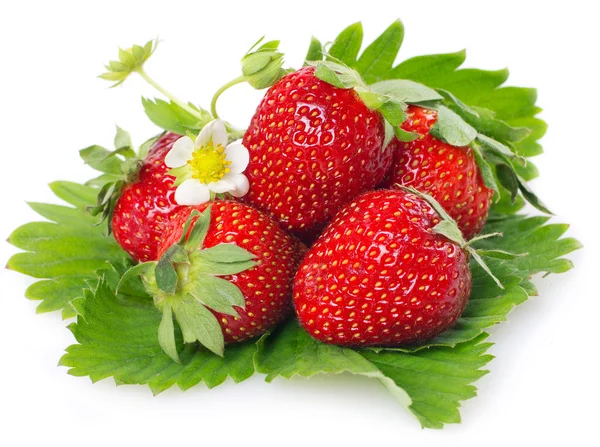stock image Fresh strawberry