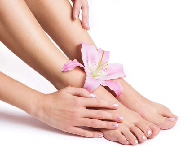 Piękne kobiece nogi i ręce z kwiatem — Zdjęcie stockowe