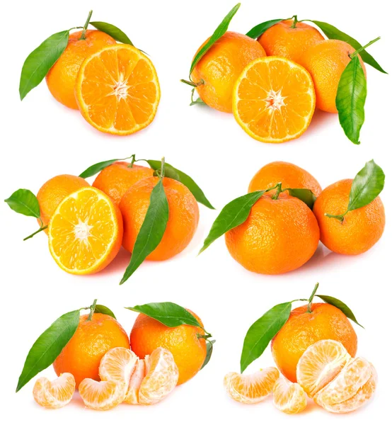 stock image Fresh tangerines