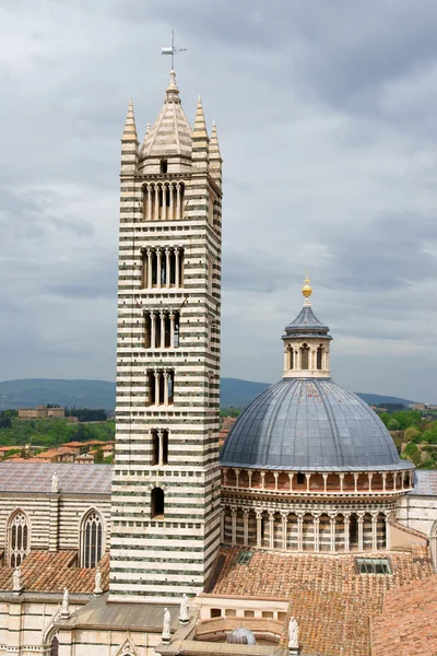 Cathédrale de Sienne — Photo