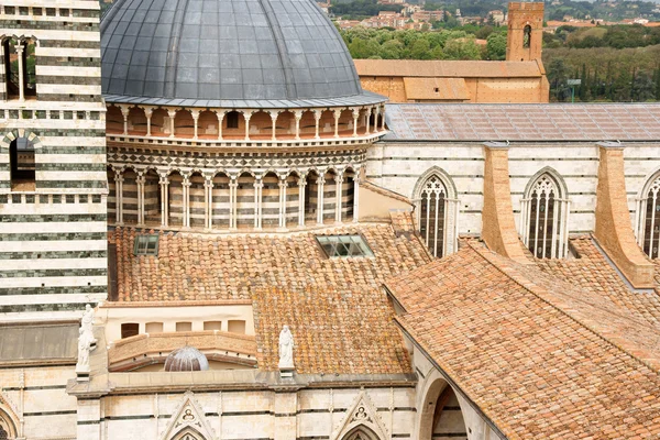 Dettaglio Duomo di Siena — Foto Stock