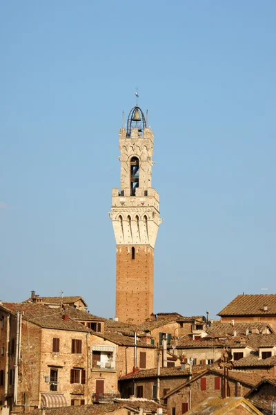Siena in the sunset light — Stock Photo, Image