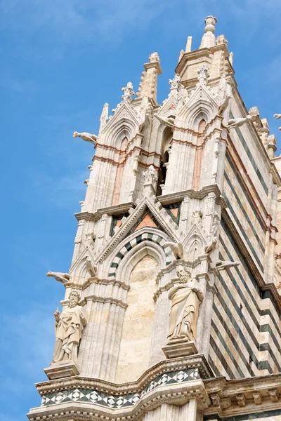 Catedral de Siena detalle — Foto de Stock
