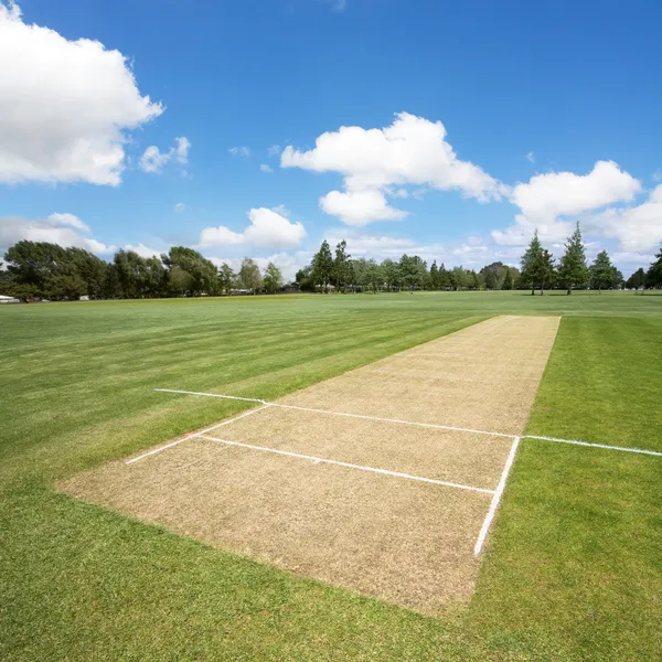 Cricket pitch background — Stock Photo #10911274 - Stock Image - Everypixel