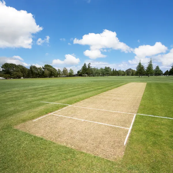 Cricket pitch fundo — Fotografia de Stock