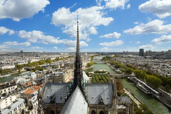 Paris view from Notre Dame Cathedral — Stock Photo, Image