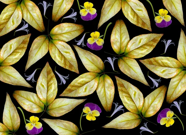 Κίτρινα φύλλα και λουλούδια απεικόνιση — Φωτογραφία Αρχείου