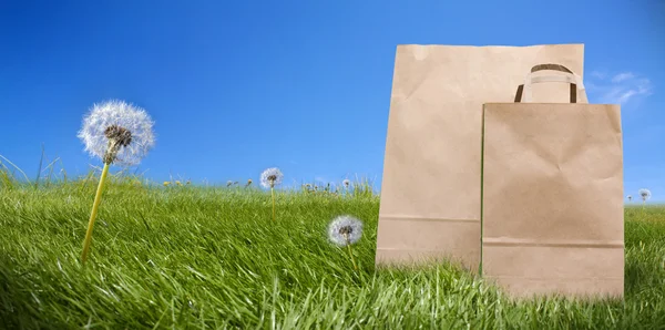 Paper supermarket bags on green field