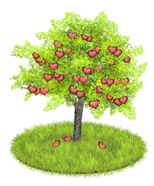 Яблоки в форме сердца в яблоне — стоковое фото