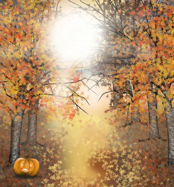 Fondo de Halloween de otoño con búho y calabaza —  Fotos de Stock
