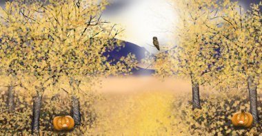 sonbahar manzarası ile altın asp ağaçlar kabak baykuş
