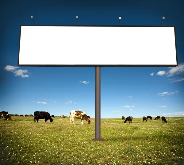 Advertising billboard — Stock Photo, Image