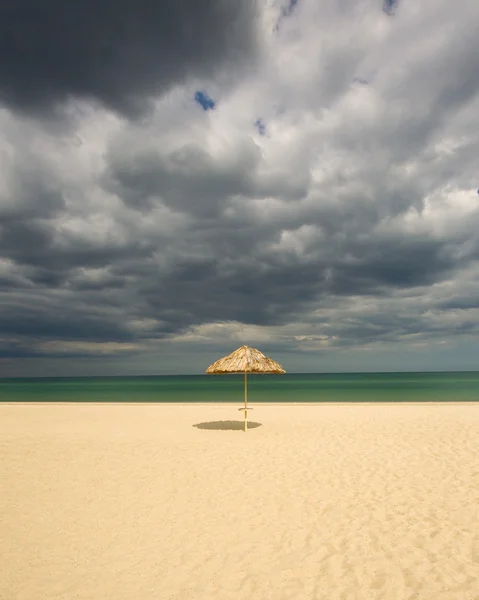 Sahildeki şemsiye — Stok fotoğraf