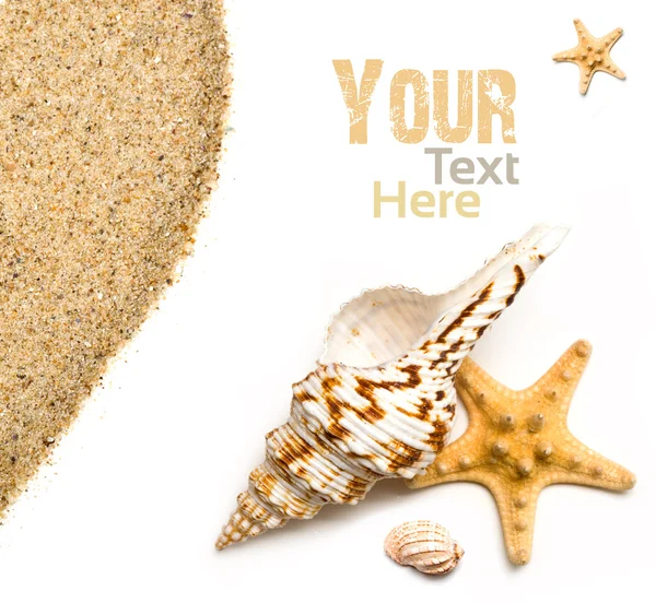 海贝壳和沙子 — 图库照片