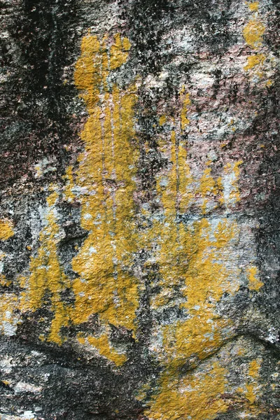 Textura de rocha sem costura fundo — Fotografia de Stock