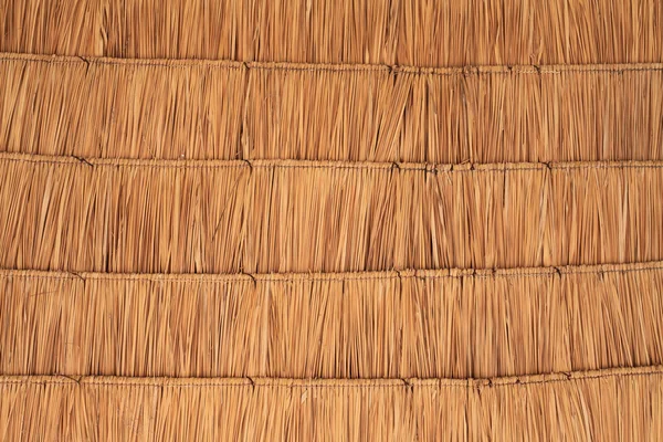 Foglie di palma essiccate — Foto Stock