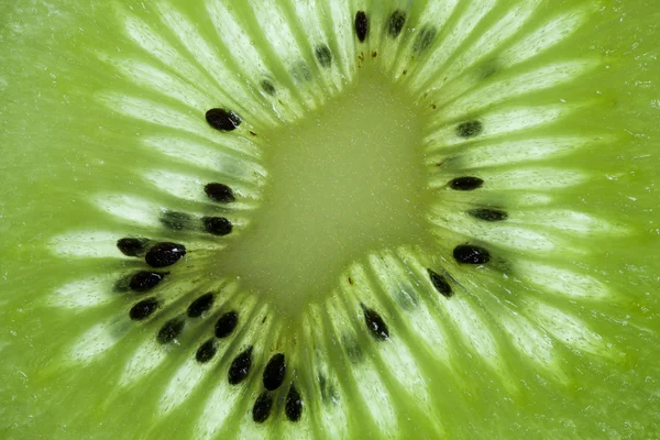 Primer plano de un kiwi — Foto de Stock