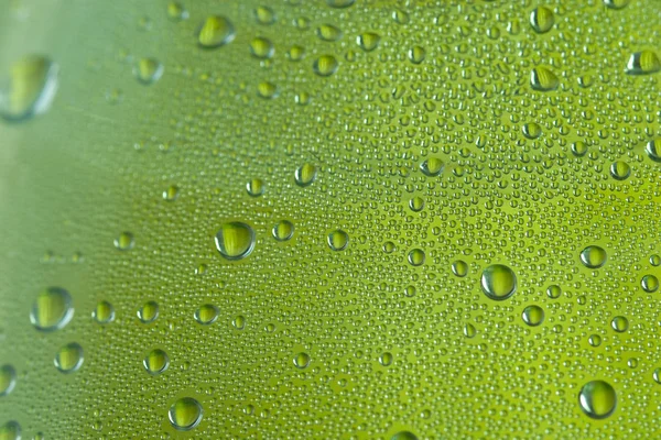 stock image Water Drops on green