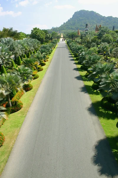 Tropisk trädgård på pattaya — Stockfoto