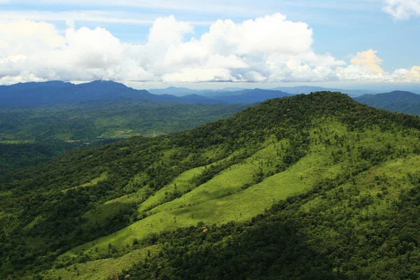 Tropiska berg — Stockfoto