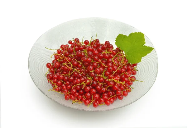 Красносмородиновые ягоды — стоковое фото