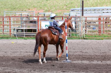 küçük pantolon rodeo