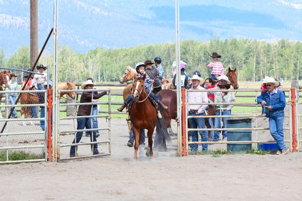 Little Britches Rodeo — Stock Photo, Image