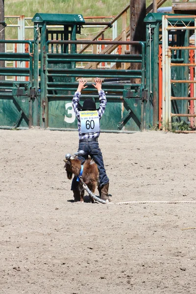 Küçük pantolon rodeo — Stok fotoğraf