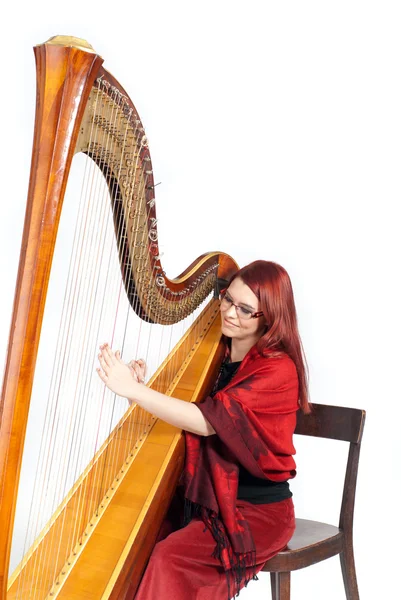 stock image Harp Concert