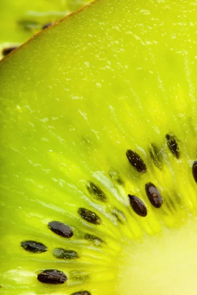 Kiwi frais gros plan — Photo
