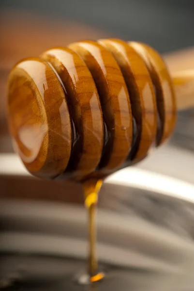 Concentrazione sfocatura miele — Foto Stock