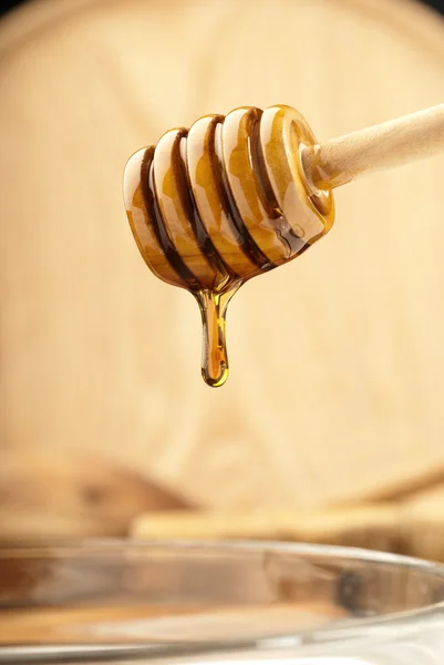 Bright honey dipper — Stock Photo, Image