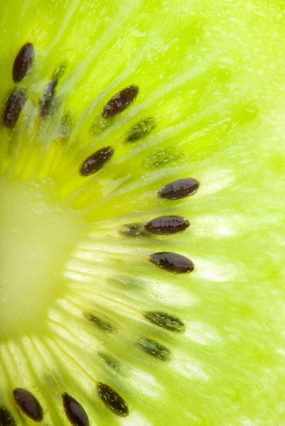 Kiwi graines gros plan — Photo