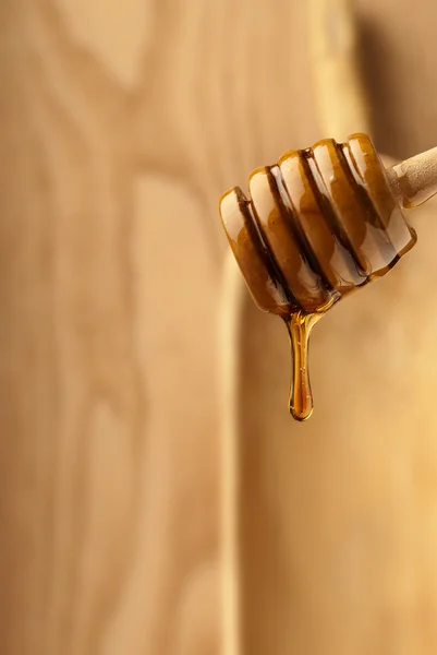 Gioco di concentrazione miele — Foto Stock