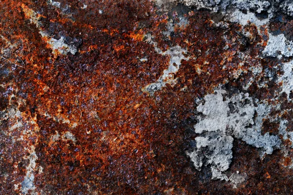 Placa oxidada — Foto de stock gratuita