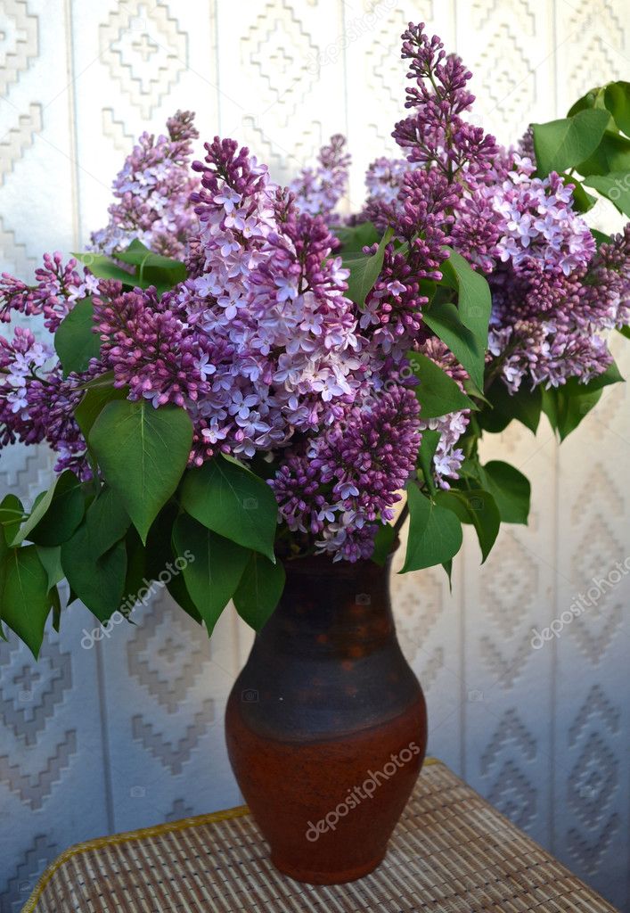Blossoming lilac.