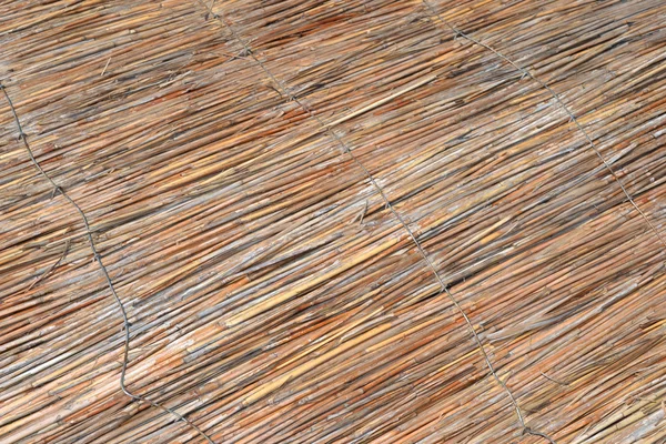 Δομή του τοιχώματος από ένα από ζαχαροκάλαμο — Φωτογραφία Αρχείου