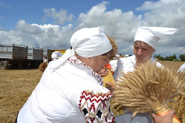 Зажинки - белорусский праздник начала сбора урожая . — стоковое фото
