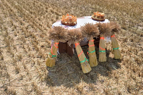 Zazhinki - 収穫の始まりのベラルーシ語の休日. — ストック写真