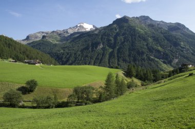 South Tyrol 024