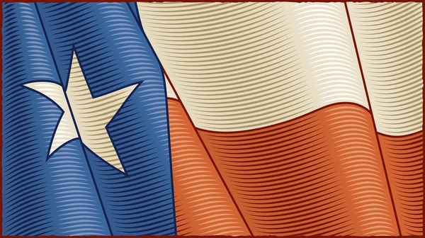Bandeira vintage do Texas (close-up ) — Vetor de Stock