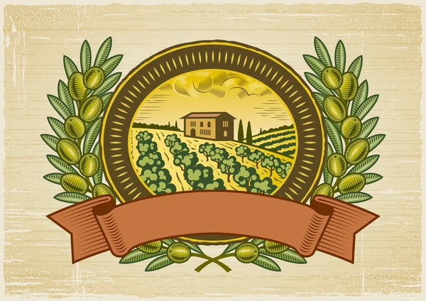 Rótulo da colheita de azeitonas — Vetor de Stock