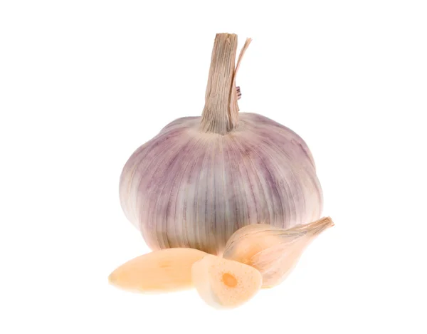 stock image Garlic head and cloves