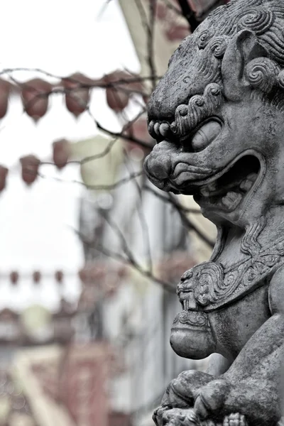 stock image Chinese New Years