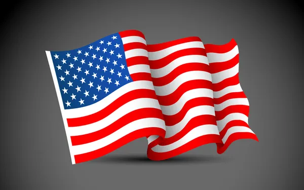 Americká vlajka — Stockový vektor
